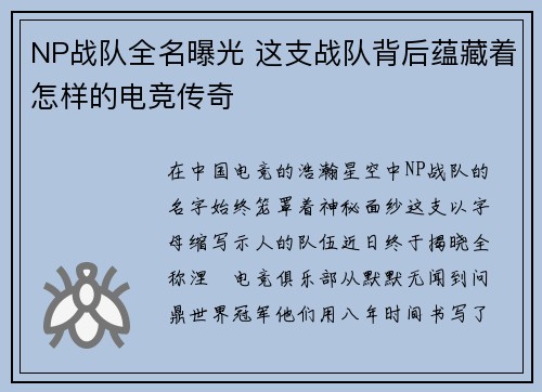 NP战队全名曝光 这支战队背后蕴藏着怎样的电竞传奇